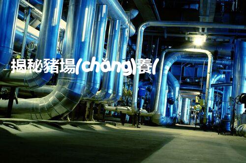 揭秘豬場(chǎng)養(yǎng)殖廢水處理工藝的以后之路？探索新技術(shù)與環(huán)保的完滿(mǎn)結(jié)合！